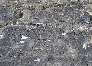 PLAQUE 132_Breakwater Royal visit_1833_web.jpg
